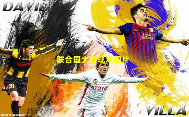 联合国大会现场图片
